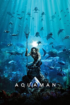 Aquaman (2018) 15 ( FOLYO ) - AFİŞ - POSTER-1390