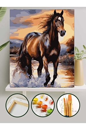 Sayılarla Boyama Kasnaklı Tablo Seti Fırça Boya Dahil 40x50 BROWN HORSE