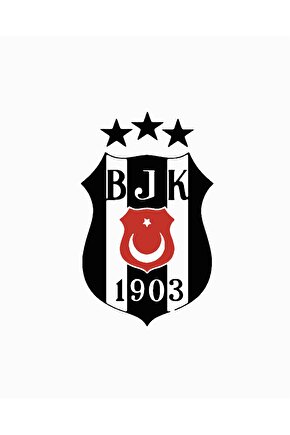 Sayılarla Boyama Kasnaklı Tablo Seti Fırça Boya Dahil 40x50 BJK2