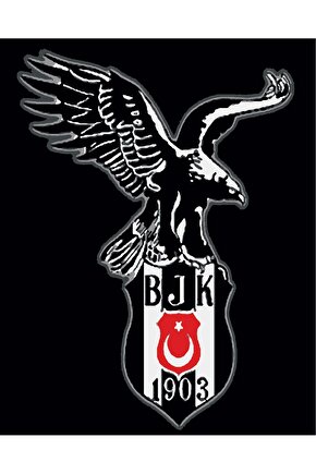 Sayılarla Boyama Kasnaklı Tablo Seti Fırça Boya Dahil 40x50 BJK 1