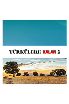 Türkülere Kalan 2 ( Çeşitli Sanatçılar )  2 CD