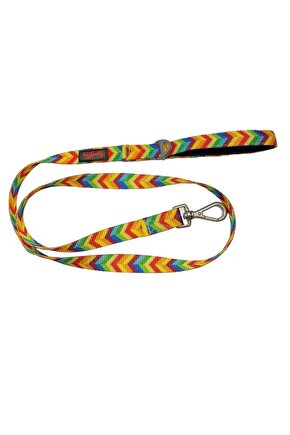 Rainbow Köpek Gezdirme Kayışı 140 Cm X 2 Cm