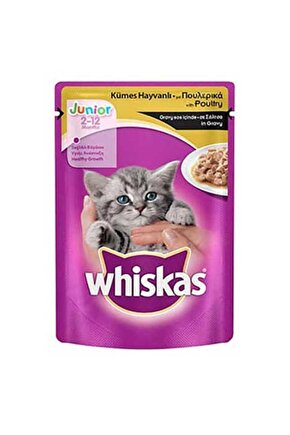 Kümes Hayvanlı Yavru Kedi Pouch 85 gr