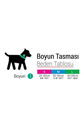 Köpek Boyun Tasması Boo S