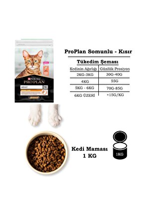 ProPlan Somonlu Kısırlaştırılmış AçılmışPaket 1KG