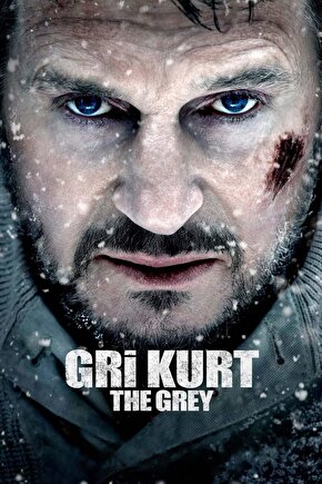 The Grey 2012 03 AFİŞ POSTER