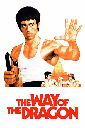 The Way of the Dragon (1972) AFİŞ - POSTER ( FOLYO ) - AFİŞ - POSTER-8063