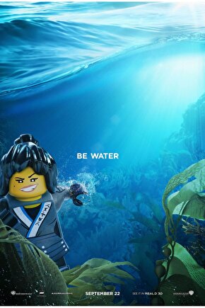 The L.E.G.O Ninjago Movie 2017 8