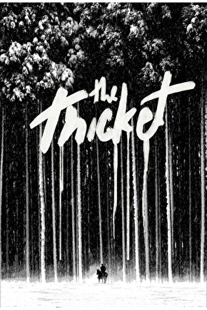 The Thicket (2024) 0001 AFİŞ - POSTER ( FOLYO ) - AFİŞ - POSTER-7977