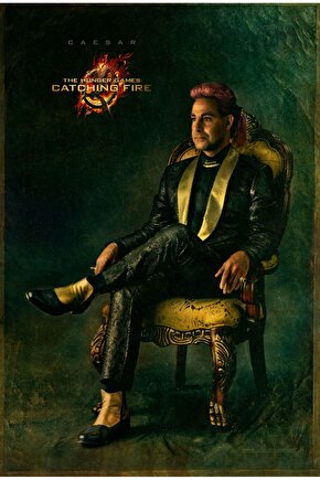 The Hunger Games Catching Fire (2013) 12 AFİŞ - POSTER ( FOLYO ) - AFİŞ - POSTER-7211