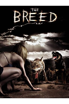 The Breed (2006) AFİŞ - POSTER ( FOLYO ) - AFİŞ - POSTER-6656