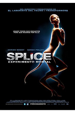 Splice (2009) 3 AFİŞ - POSTER ( FOLYO ) - AFİŞ - POSTER-6012