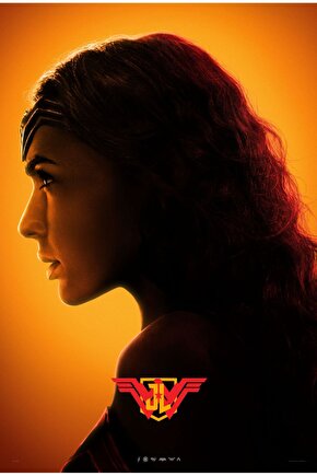 Justice League (2017) 38 ( FOLYO ) - AFİŞ - POSTER-4108