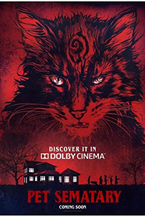 Pet Sematary (2019) 5 ( FOLYO ) - AFİŞ - POSTER-5018