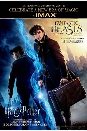 Fantastic Beasts and Where to Find Them (2016) 5 ( FOLYO ) - AFİŞ - POSTER-2773