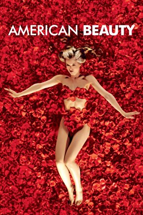 American Beauty (1999) ( FOLYO ) - AFİŞ - POSTER-1291