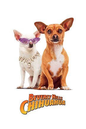 Beverly Hills Chihuahua (2008) 1 ( FOLYO ) - AFİŞ - POSTER-1744