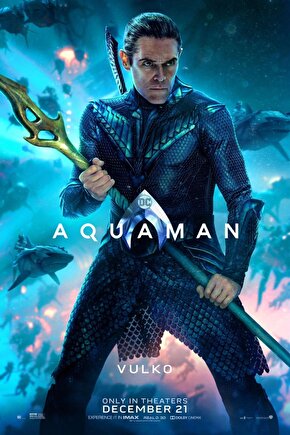 Aquaman (2018) 2 ( FOLYO ) - AFİŞ - POSTER-1381