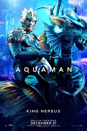 Aquaman (2018) 3 ( FOLYO ) - AFİŞ - POSTER-1382