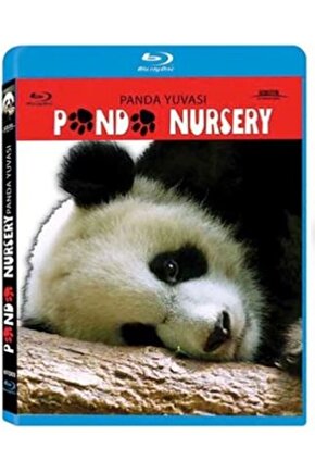 Panda Yuvası ( Blu-Ray Disc ) Ambalajında