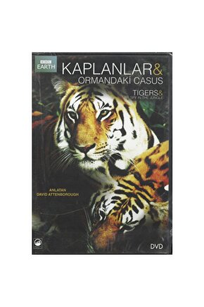 Kaplanlar ve Ormandaki Casus Tıgers ve Spy In The Jungle - Dvd