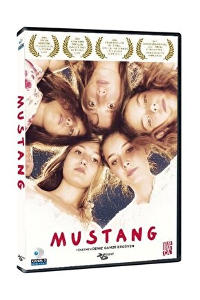 Mustang dvd