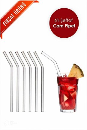 Şeffaf 6lı Cam Eğimli Pipet | Cam Pipet