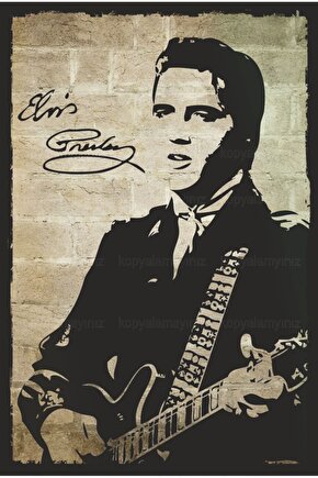 elvis presley rock and roll müzik ev dekorasyon tablo retro ahşap poster