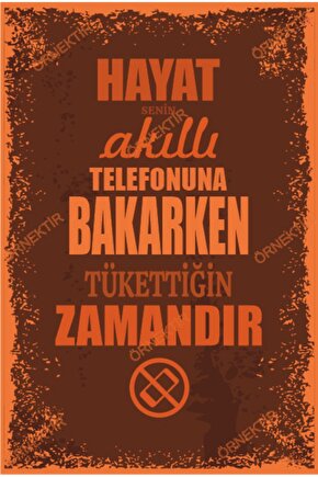 Hayat Senin Akıllı Telefonuna Bakarken Tükettiğin Zamandır Duvar Yazıları Retro Ahşap Poster