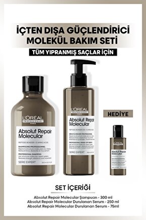 Serie Expert Absolut Repair Içten Dışa Güçlendirici Molecular Bakım Seti