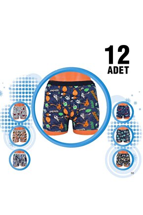 Aldeza 550 Erkek Çocuk Boxer 12li