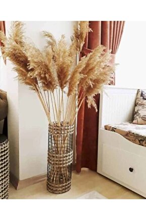 Kuru Çiçek Pampas 10 Adet 100 Cm M-100