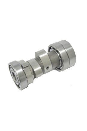 EKSANTRİK MİLİ  CUP 110 FT