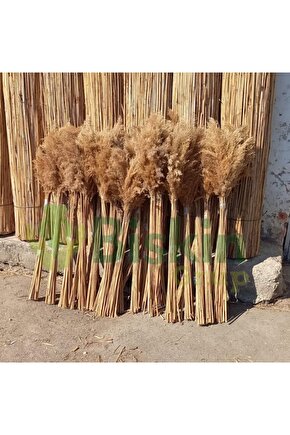 Kuru Çiçek Doğal Pampas 35 Adet