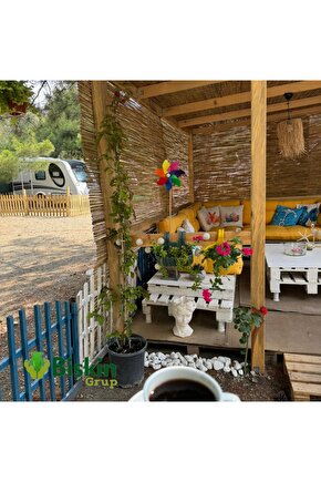 100 CM X 1 Metre Bambu Kamış Hasır Çit,  Misina İpli Bahçe Ve Balkon Dekorasyonu, Gölgelik Reedfence