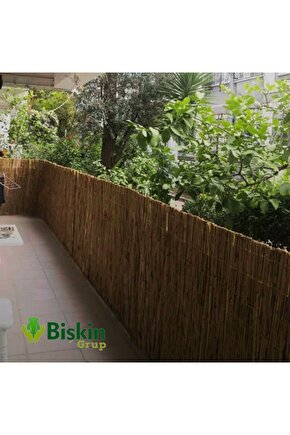 60cm x 5m Doğal Bambu Kamış Hasır Çit | Bahçe ve Balkon Dekorasyonu, Misina İpli Gölgelik