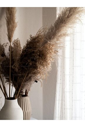 Kuru Çiçek Pampas 20 Adet 100 Cm M-100