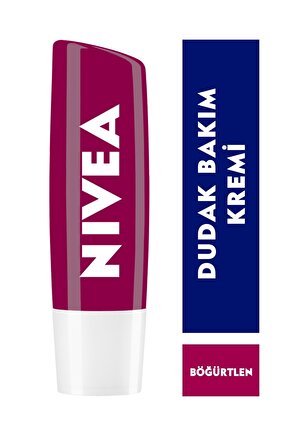 Lip Fruity Shine Blackberry