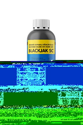THE FUTURE BASKILI FIRÇALI ERKEK ÇOCUK EŞOFMAN TAKIM