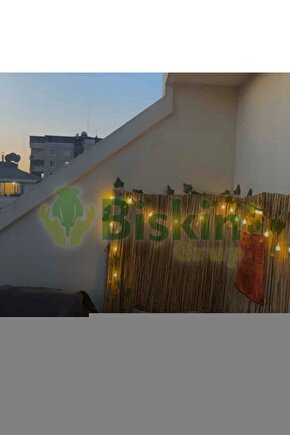 Aqua Sensation Canlandırıcı Yüz Bakım Kremi 50ml, Nemlendirici, Salatalık Özü, Dolgun Cilt