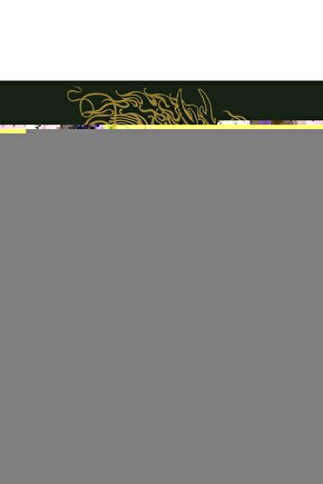KIZ ÇOCUK BİKİNİ TAKIM BNT-G25044 MAVİ