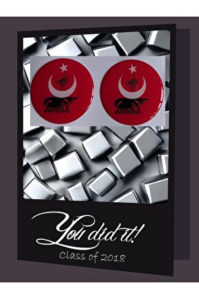 PHOENİX STİCKER TÜRKİYE DAMLA LOGO 5x5 CM 2 ADET