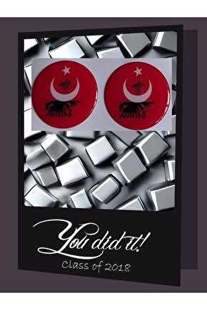 PHOENİX STİCKER TÜRKİYE DAMLA LOGO 5x5 CM 2 ADET