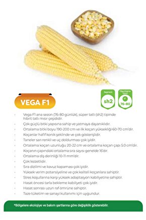 May Vega F1 Tatlı Mısır Tohumu 10000 Adet