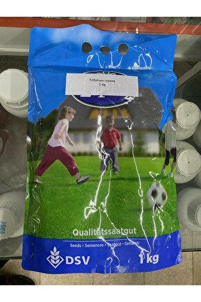 Dsv Ak Üçgül Tohumu 1 Kg Süs Yoncası Üç Yapraklı Yonca Tohumu Trifolium Repens Orjinal Ambalaj