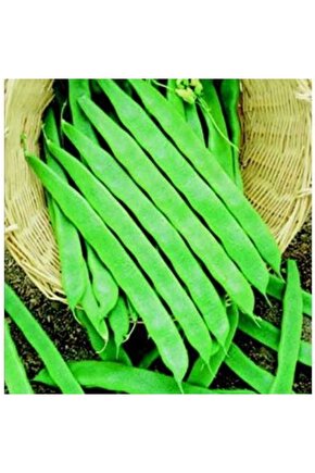 Fasulye Tohumu (sırık - Öz Ayşe) 25 Gr.