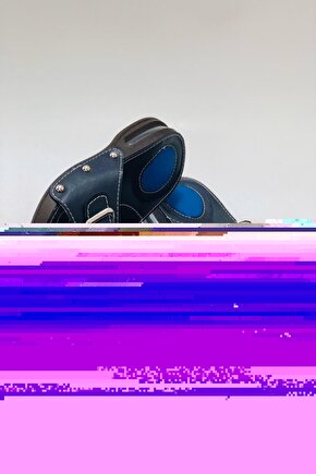 Vega F1 Tatlı Mısır Tohumu 10000 Adet 2024 Üretim
