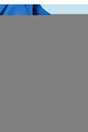 K-othrine Sc 50 500 Ml