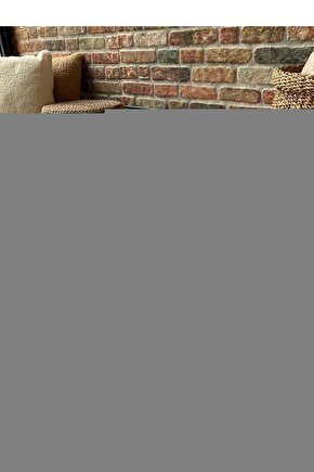 Animals Kahverengi Erkek Çocuk Eşofman Takımı