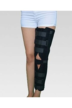 Standart Posterior Shell Diz Sabitleyici 65 Cm. Standart